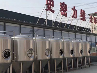 唐县精酿啤酒设备厂—如何判断精酿啤酒设备的密封件需要更换？